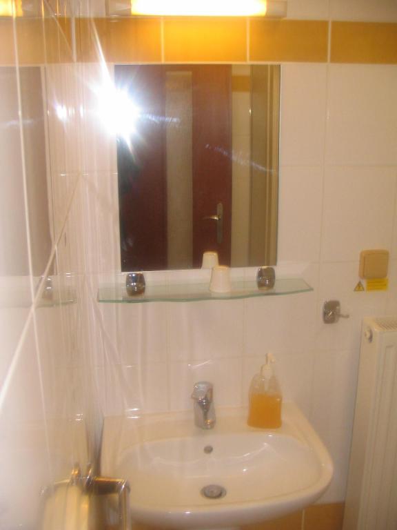 Pension Smetanuv Statek Hradec Králové 部屋 写真
