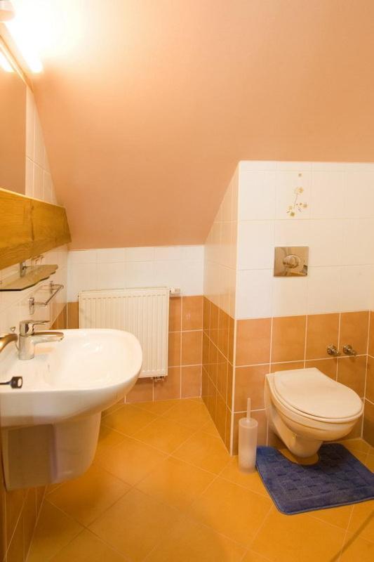 Pension Smetanuv Statek Hradec Králové エクステリア 写真