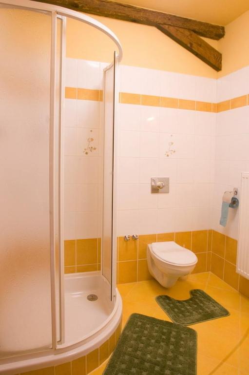 Pension Smetanuv Statek Hradec Králové エクステリア 写真